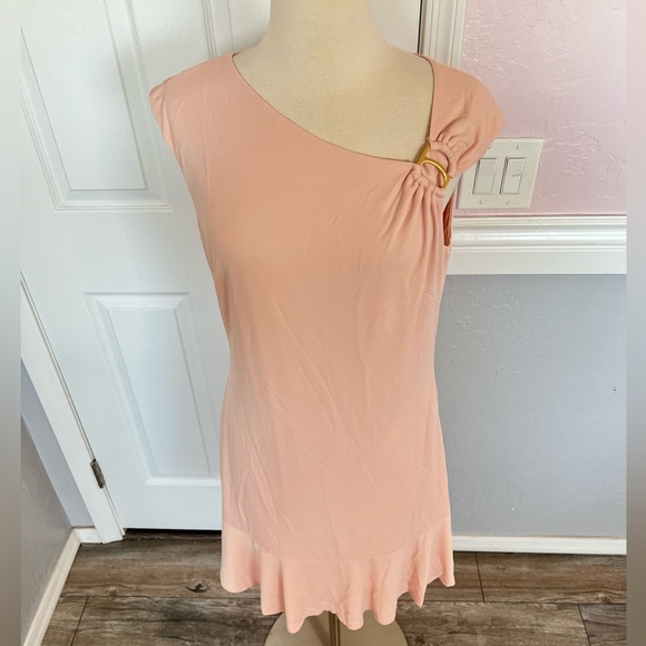 Ralph Lauren Black Label  Pink Dress with Gold Shoulder Accent Ruffled size 10 - Picture 3 of 13